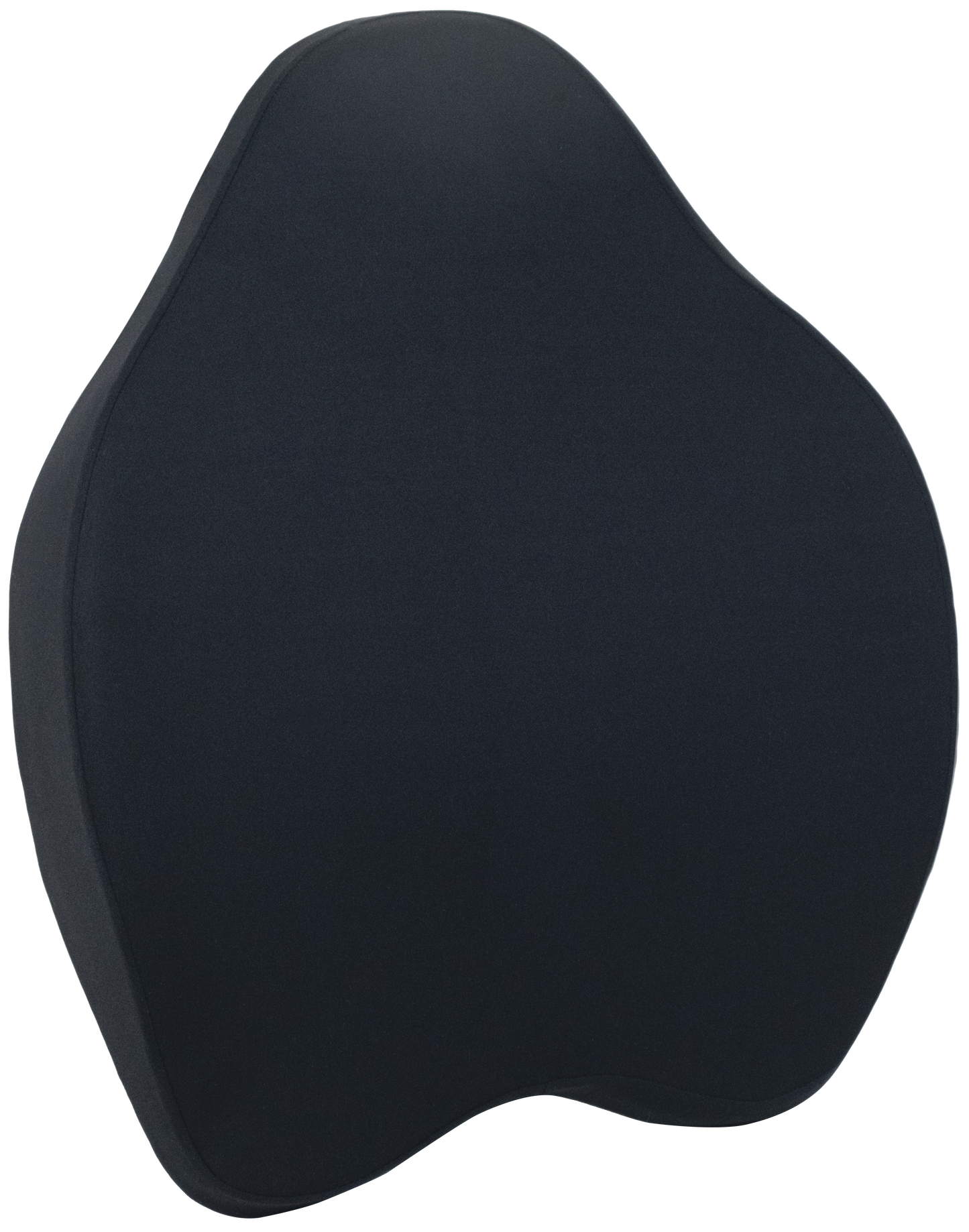 Chiro Back Support Cushion