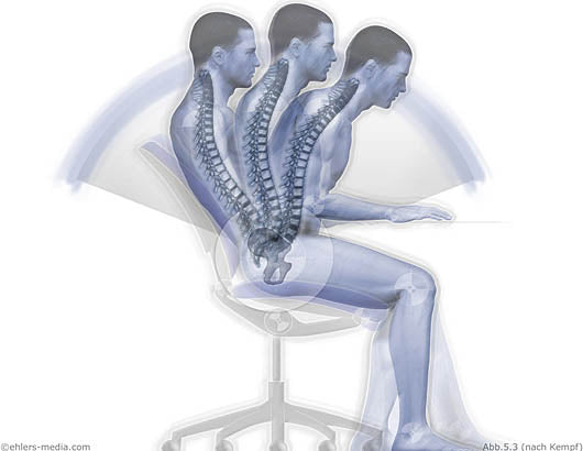 Ergonomic Chairs