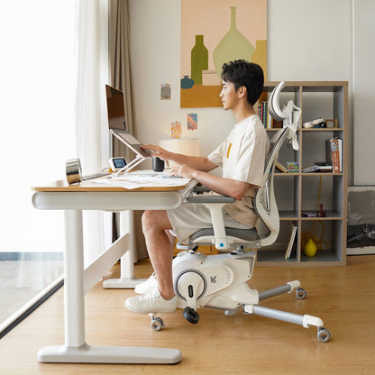 FullyNordic Balance Chair — V6