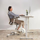 FullyNordic Balance Chair — V6
