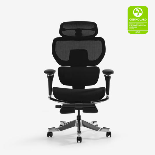 Align Ergonomic Chair