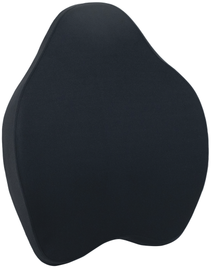 Chiro Back Support Cushion