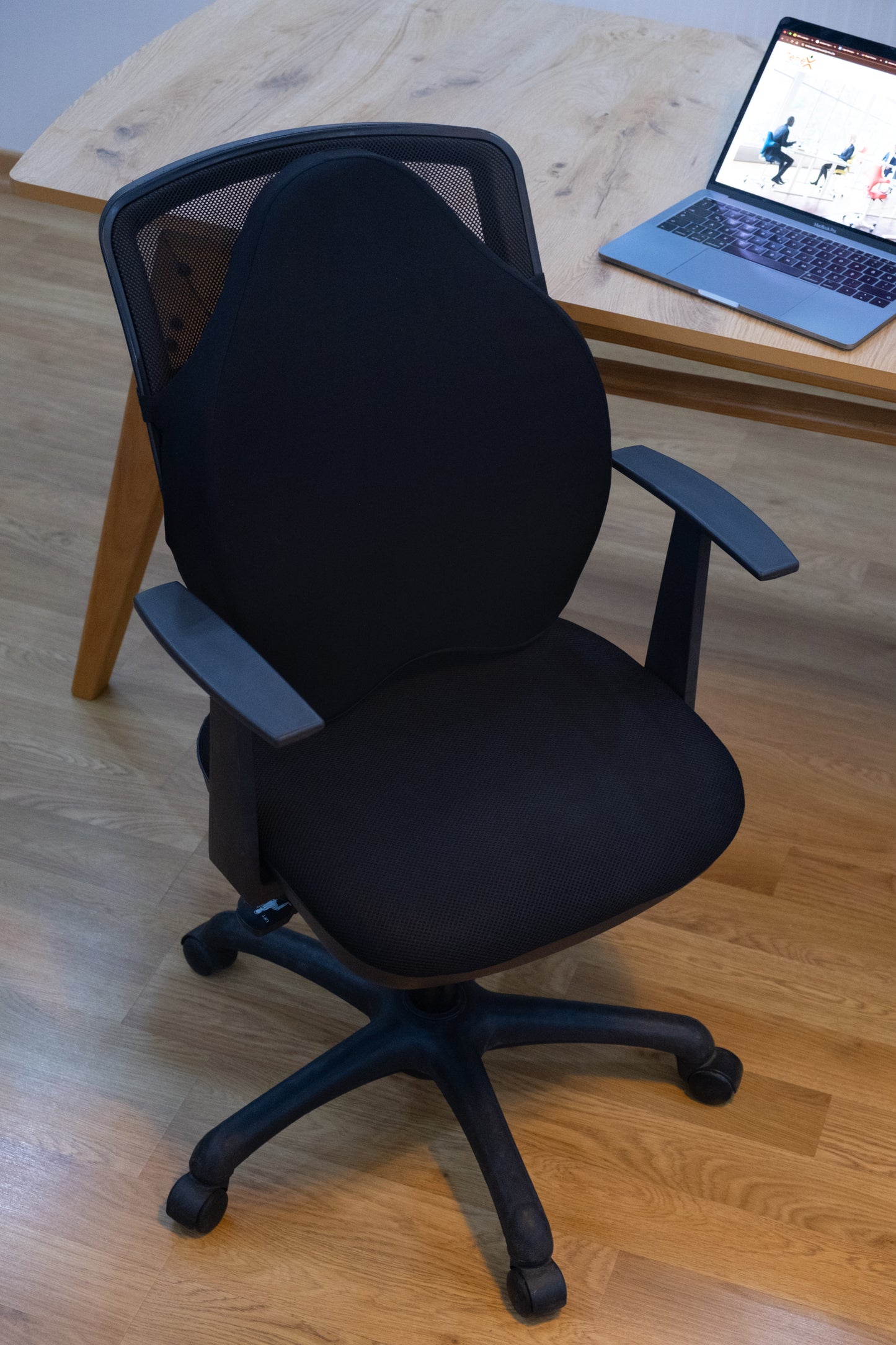 Chiro Back Support Cushion