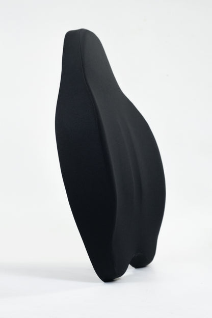 Chiro Back Support Cushion
