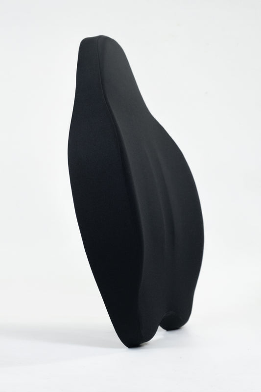 Chiro Back Support Cushion