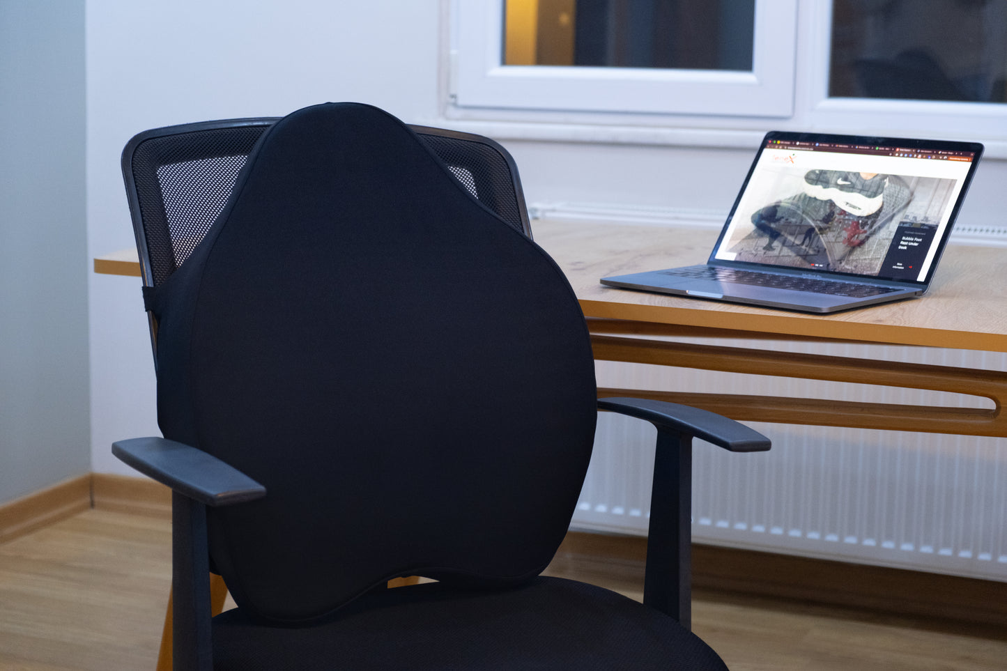 Chiro Back Support Cushion