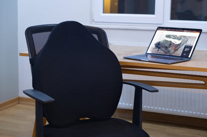 Chiro Back Support Cushion