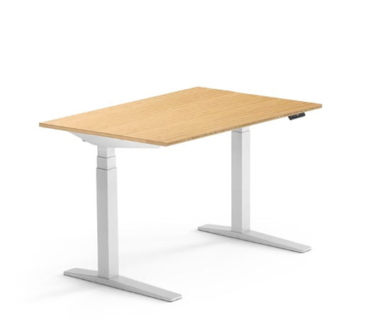 Fullynordic Motion Desk Pro
